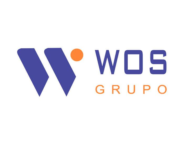 Grupo WOS - Visionnaire | Fábrica de Software