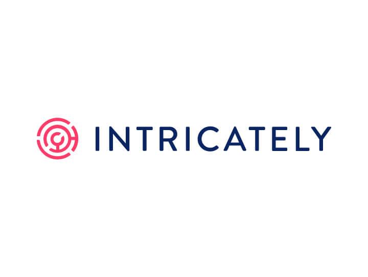Intricately - Visionnaire | Software Factory