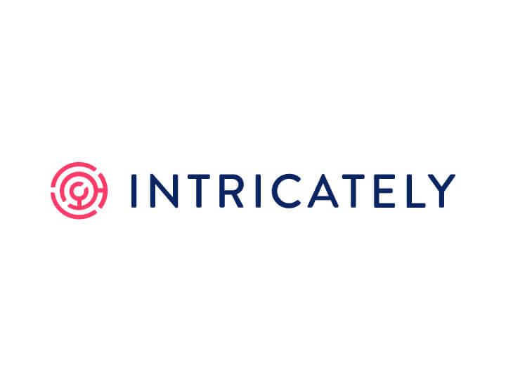 Intricately - Visionnaire | Fbrica de IA | Fbrica de Software