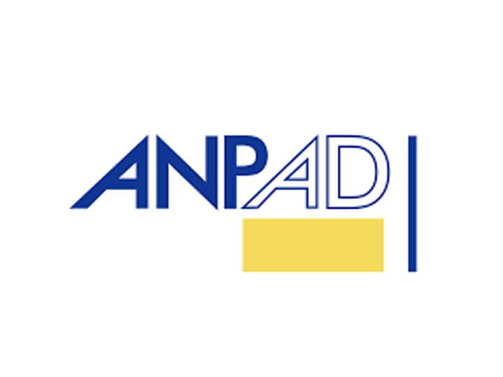 Anpad - Visionnaire | Fbrica de Software