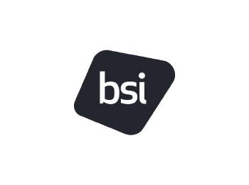 BSI Tecnologia - Group - 